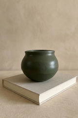Olive Pod Vase