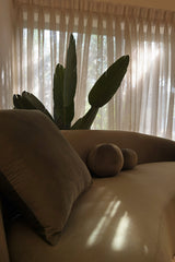 The curve sofa