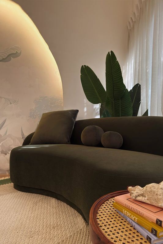 The curve sofa