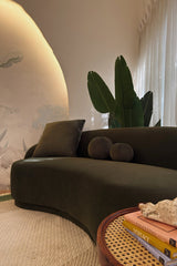 The curve sofa