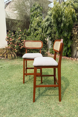 Nora Bar Chairs