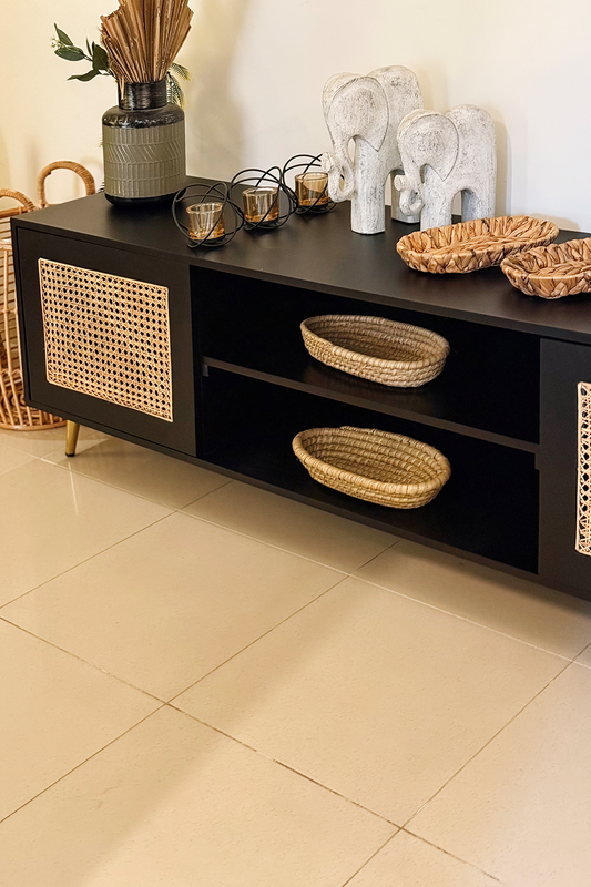 The Noir Cane Media Unit
