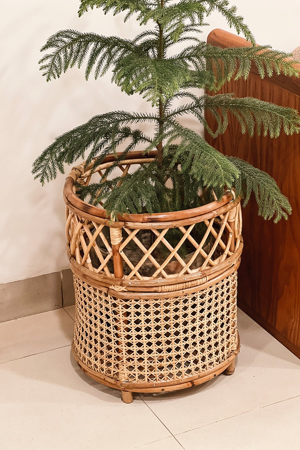 Jaali Rattan Planter