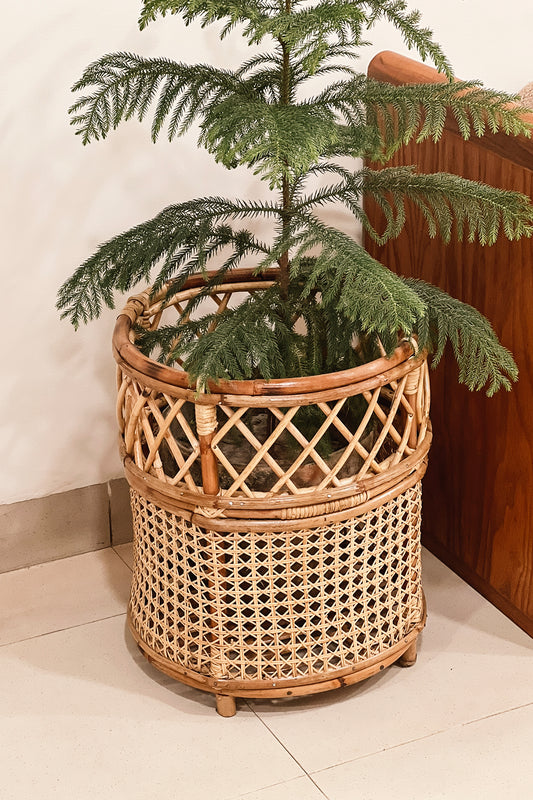 Jaali Rattan Planter